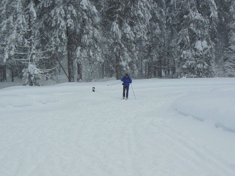 waldleloipe balderschwang.jpg - De laatste foto van een mooie week wintersport. de reis naar Feldkirch kunnen we aanraden. Veel afwisseling in een week waarin we steeds naar andere wintersportgebieden zijn gegaan.